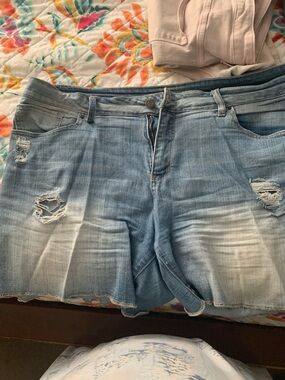 Time and Tru Light Blue Distressed Jean Shorts